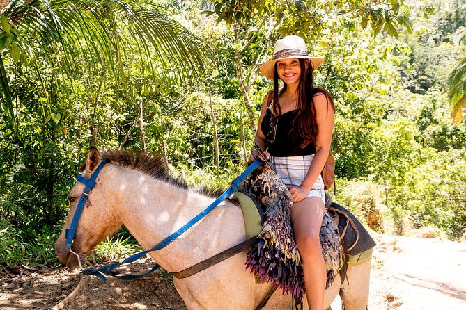 El Limon Waterfall and Bacardi Island Tour from Punta Cana with Lunch Included - Who should book this experience