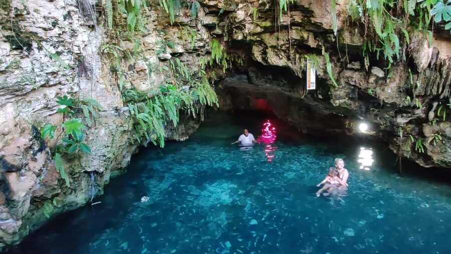 "Epic Off-Road Adventure & Catamaran Party in Punta Cana!" - Coffee, cocoa, and mamajuana at a typical home