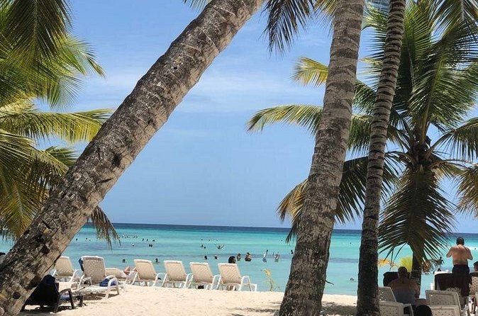Excelence El Carmen - Round Trip Shuttle - Punta Cana Airport - Cancellation, timing, and basic booking details