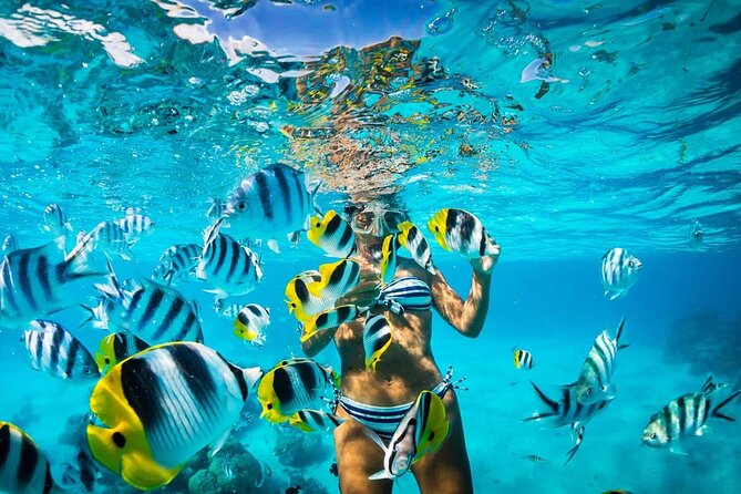 Excursion to Catalina Island and Snorkeling from Punta Cana - The early pickup from Punta Cana and Bávaro