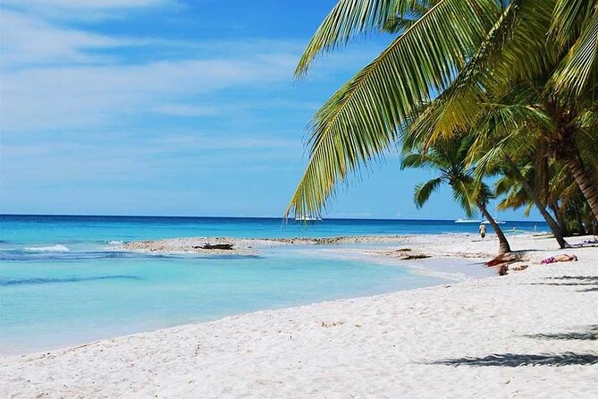 Excursion to Catalina Island and Snorkeling from Punta Cana - The schedule is the real question