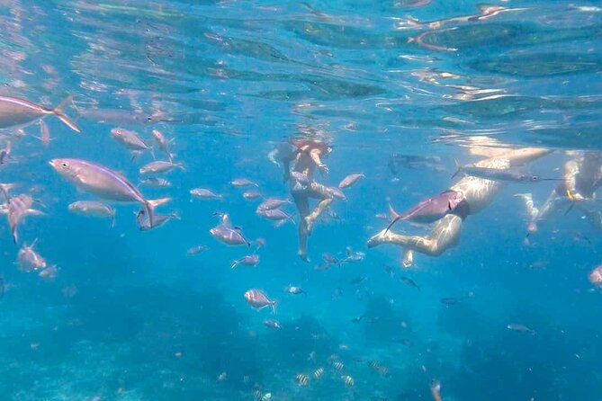 Excursion to Catalina Island and Snorkeling from Punta Cana - What to bring and how to prepare