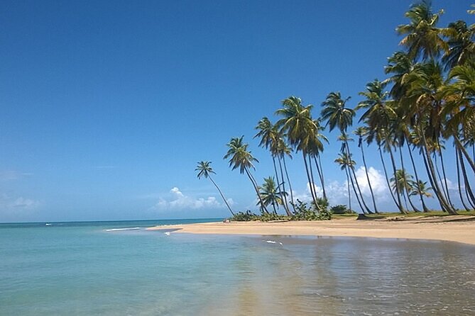 Excursion to Montaña Redonda and Playa Esmeralda from Punta Cana - Guides Robinson and Wester