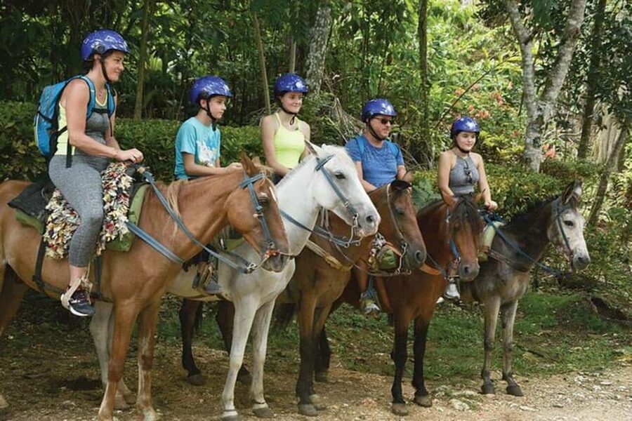 Excursion to Samaná, El Limón Waterfall and Bacardi Island from Punta Cana - Horseback through coffee and cocoa plantations