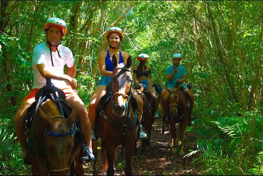 Exhilarating Buggy Tours: Discover Punta Cana Scenic Wonders - A note about the activity description