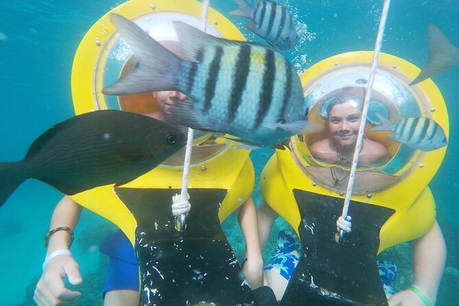 Experience a Submarine Scooter with ScubaDoo Punta Cana - Fish, coral, and the view below the surface