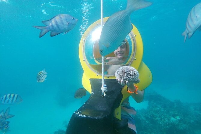 Experience a Submarine Scooter with ScubaDoo Punta Cana - Getting to the water and handling the boat transfers
