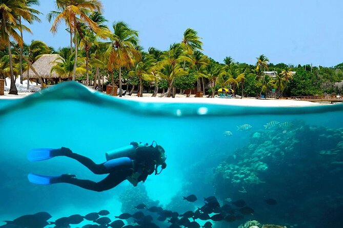Explore Catalina Island & Snorkeling Adventure from Punta Cana - A private beach, lunch, and an easy afternoon