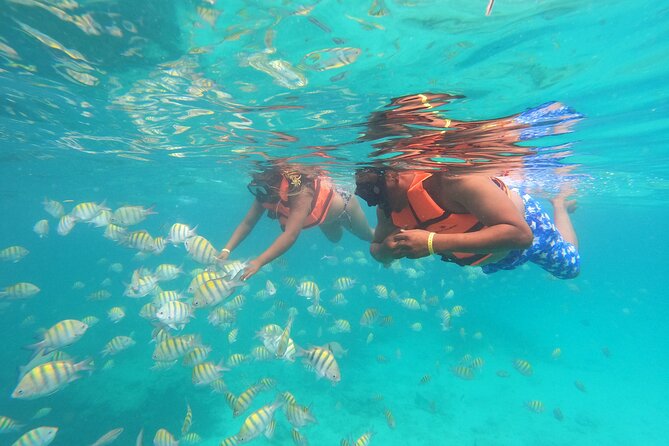 Explore Catalina Island & Snorkeling Adventure from Punta Cana - Is the $80 price good value?