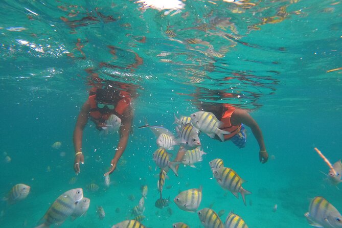 Explore Catalina Island & Snorkeling Adventure from Punta Cana - Who will enjoy this Catalina Island trip?
