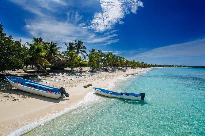 Explore Catalina Island & Snorkeling Adventure from Punta Cana - Snorkeling at The Wall on Catalina Island