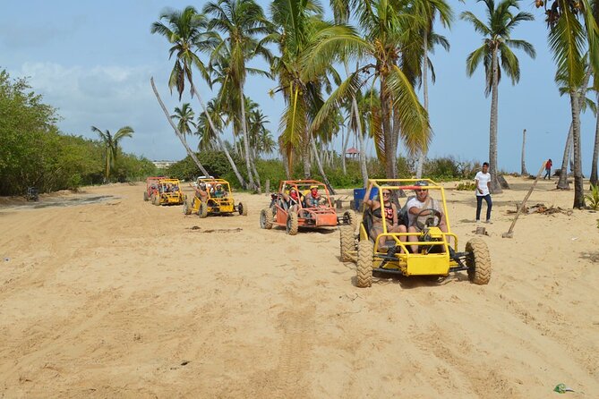 Extreme Boogie Tour in Punta Cana, Macao Beach and Cenote - Transportation can change the length of the day