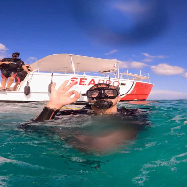 First Time Scuba Diving Experience in Punta Cana - The guide can shape the whole experience