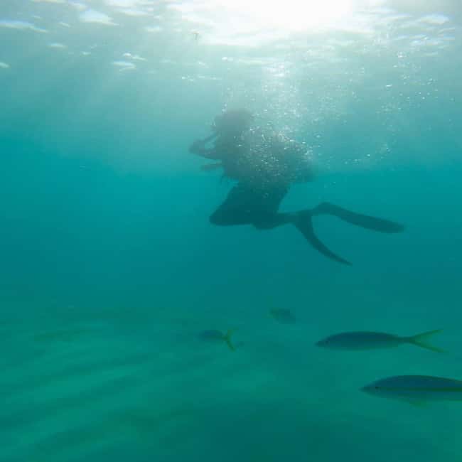First Time Scuba Diving Experience in Punta Cana - What the $189 price really covers
