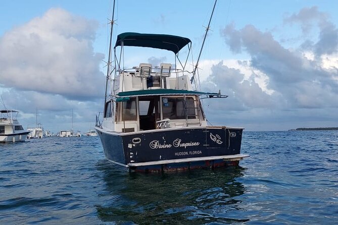 FISHING PRO CHARTERS - Boat Excursion - Divina - What is included, and what you still need to budget