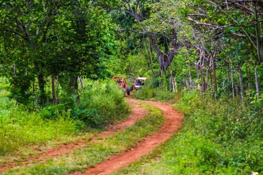 Flintstones Buggy, Cave and Adventure in Bavaro - Guides, group mood, and family suitability