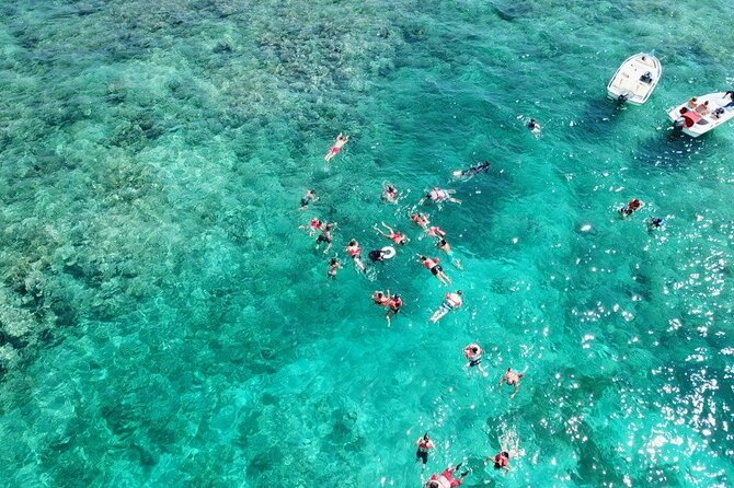 Float & Feast Private Party Cruise with Premium Buffet & Open Bar - Open bar, soft drinks, and sensible pacing
