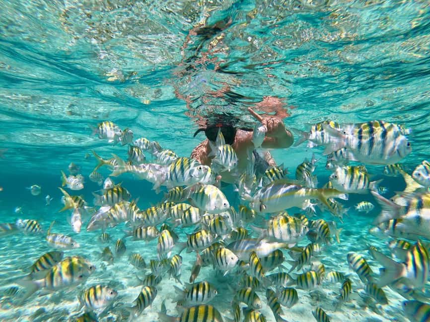 From Bavaro, Punta Cana: Boat Party, Snorkeling, Drinks, Snacks, and Transportation - Pickup From Your Hotel and the Ride to Bávaro Beach