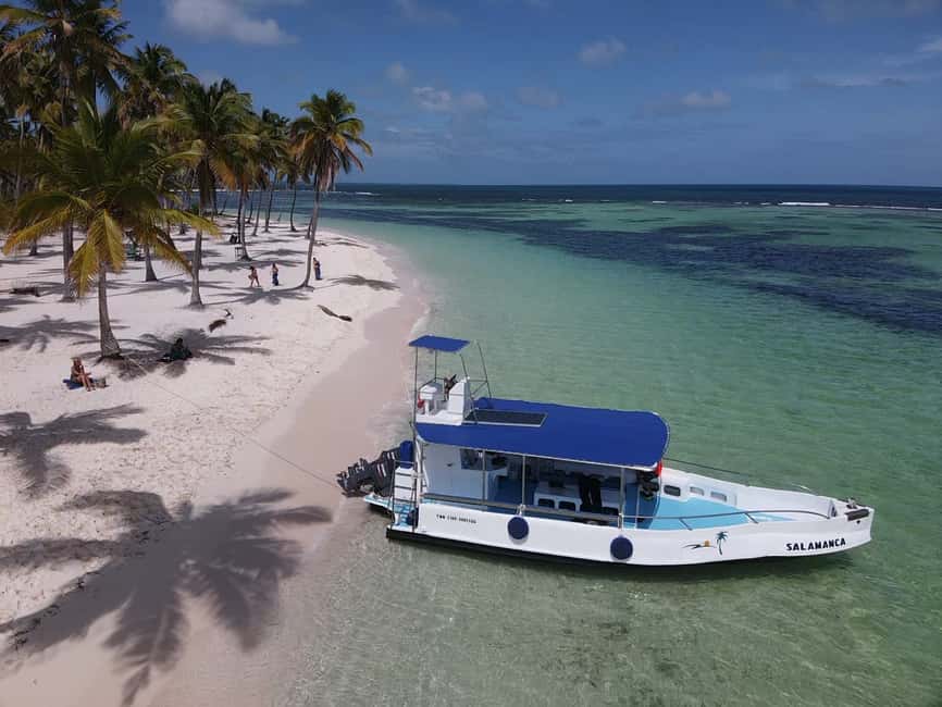 From La Romana: Saona Island for Aida Cruises Passengers - Through the mangroves by boat