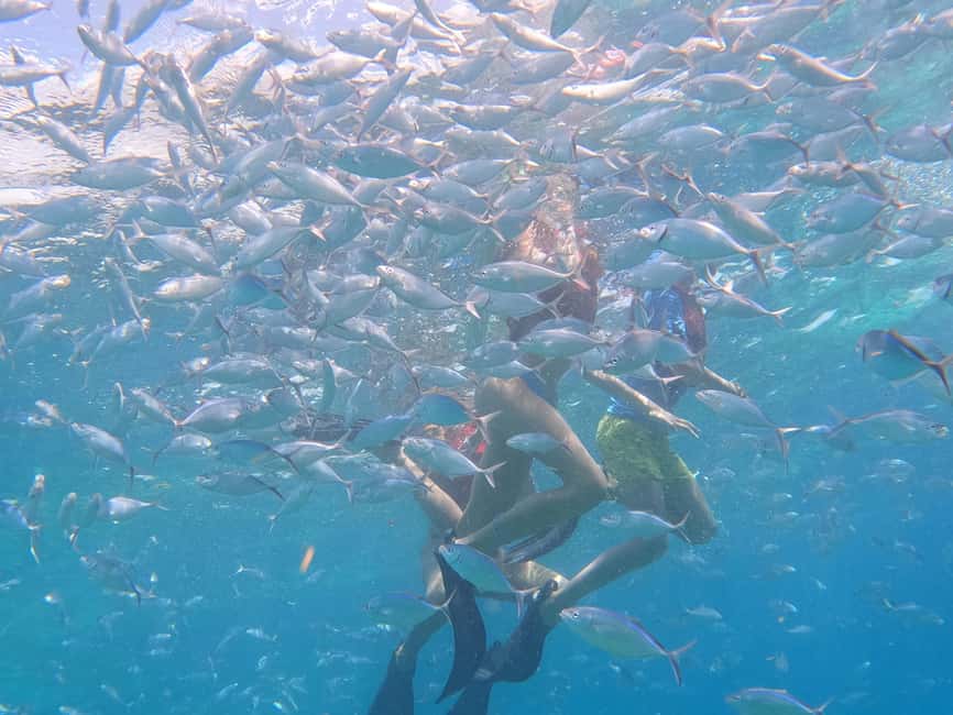From Punta Cana: Catalina Island Swim, Sail & Snorkel - Lunch, Drinks, and the Value of an Included Day