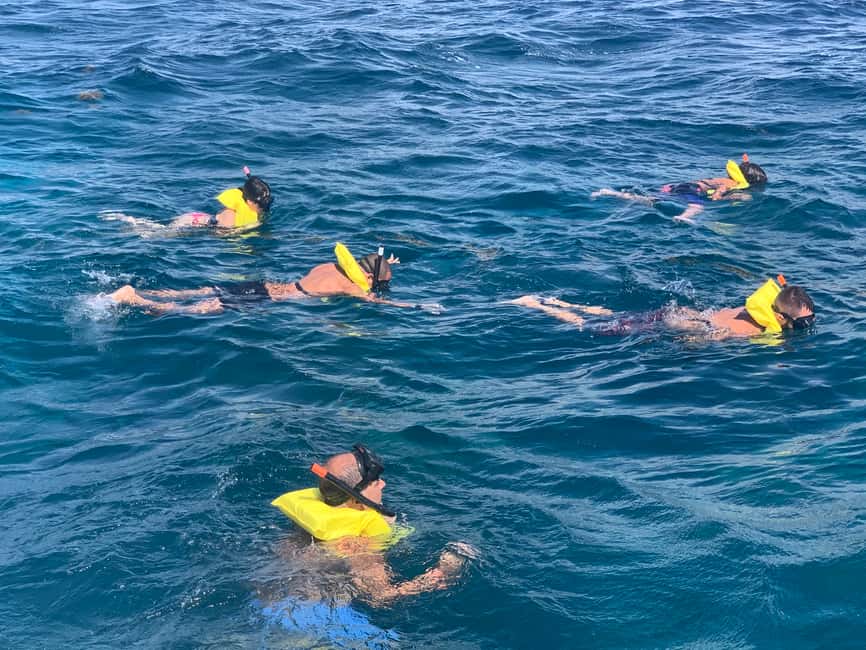 From Punta Cana: Catalina Island Swim, Sail & Snorkel - Bachata and Merengue on the Way Home