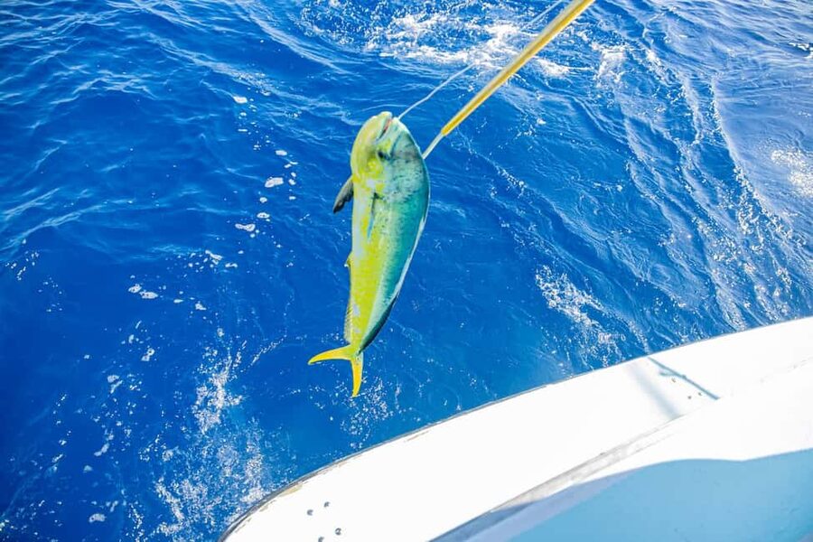 From Punta Cana: Deep Sea Fishing Tour by Boat with Drinks - Leaving Punta Cana for open water