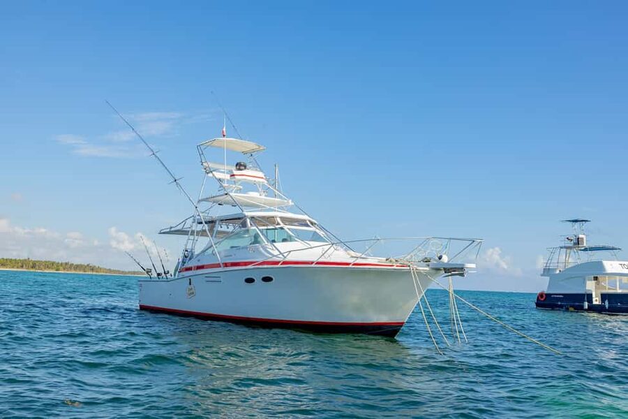 From Punta Cana: Deep Sea Fishing Tour by Boat with Drinks - The shared-rod question