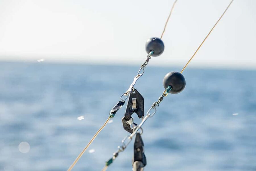 From Punta Cana: Deep Sea Fishing Tour by Boat with Drinks - What the four-hour outing is like