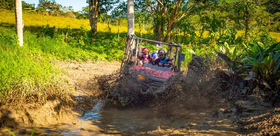 From Punta Cana: Jungle Buggy Adventure to Anamuya River - A Dominican home, farm, and coffee plantation