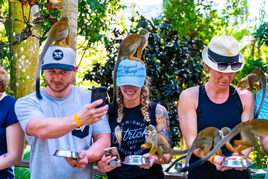 From Punta Cana: Jungle Buggy Ride & Monkeyland Guided Tour - What makes the coconut house worthwhile