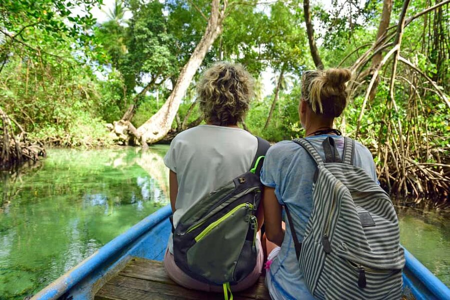 From Punta Cana: Los Haitises & Caño Hondo Private Boat Tour - Why Los Haitises works best from the water