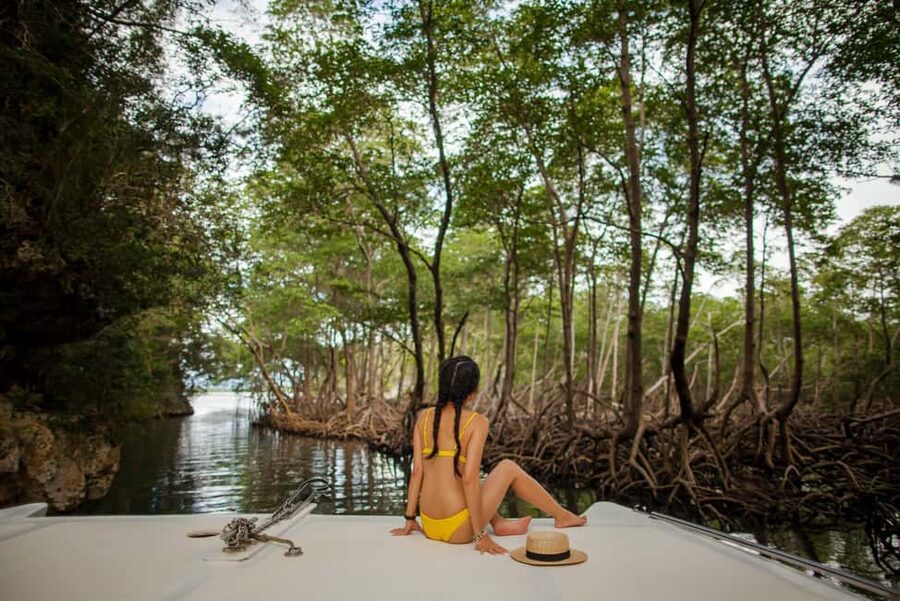 From Punta Cana: Los Haitises & Caño Hondo Private Boat Tour - Entering the red mangroves at Caño Hondo