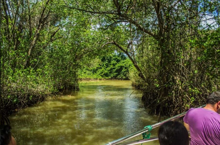 From Punta Cana: Los Haitises Guided Day Tour - How the $125 price works in practice