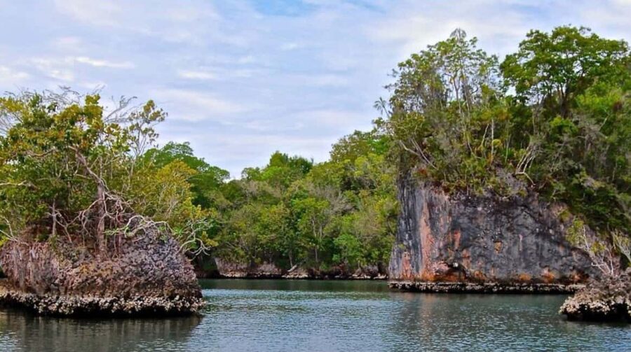 From Punta Cana: Los Haitises Guided Day Tour - Practical advice for making the day better