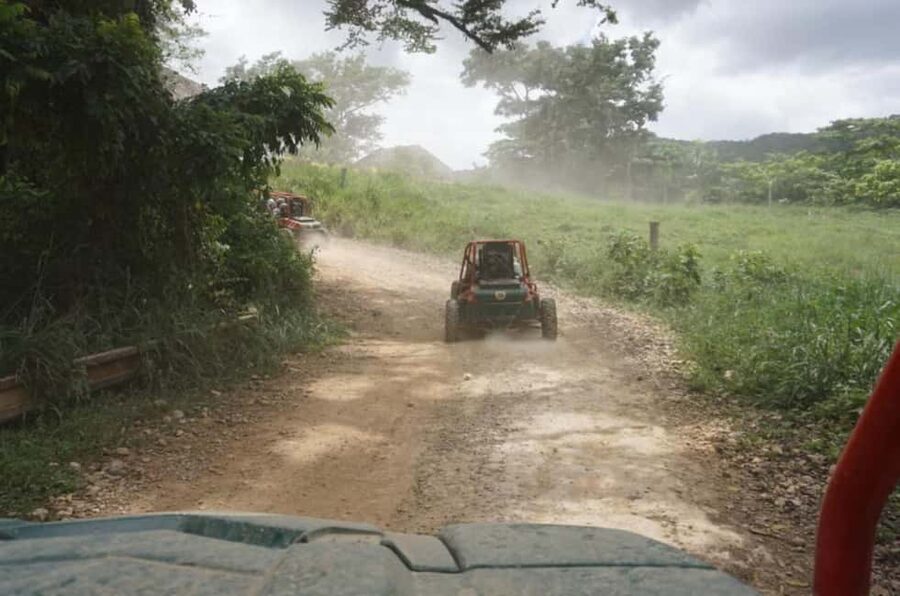 From Punta Cana or La Romana: Sugarcane Fields Buggy or Quad - Key points to know before you book