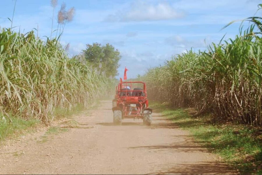 From Punta Cana or La Romana: Sugarcane Fields Buggy or Quad - Small villages and a closer look at rural life