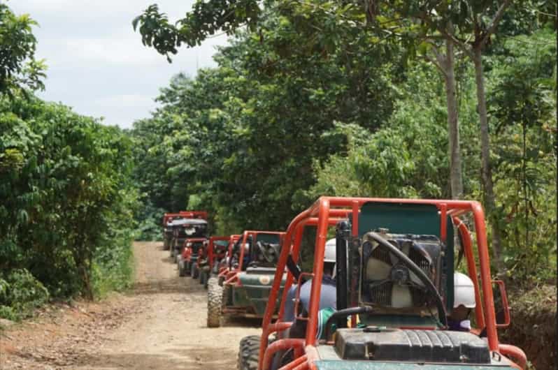 From Punta Cana or La Romana: Sugarcane Fields Buggy or Quad - Swimming in the wild Chavón River