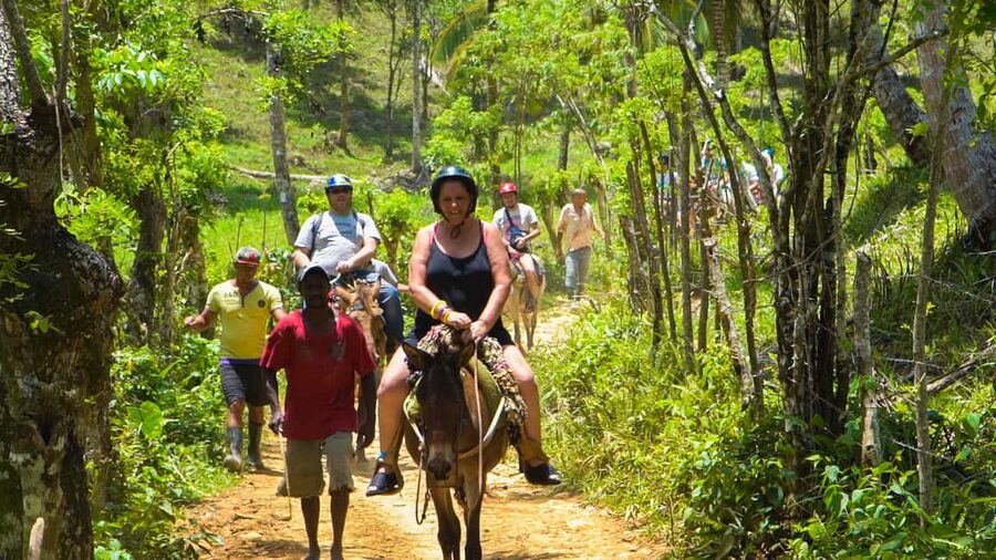 From Punta Cana: Sanctuary Whale Watching Day Trip - Who should book this Samaná day trip?