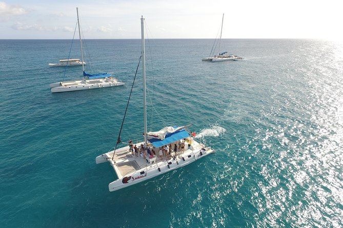 From Punta Cana: Saona Island & Altos de Chavon Day Trip with Lunch and Open Bar - What lunch and the open bar are really worth