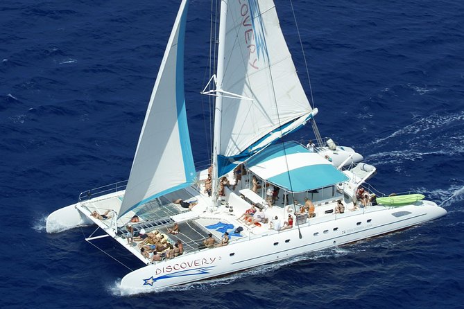 From Punta Cana: Saona Island & Altos de Chavon Day Trip with Lunch and Open Bar - The transportation tradeoff