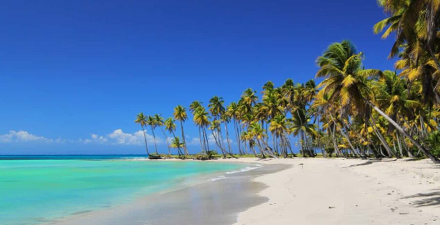 From Punta Cana: Saona Island Boat Trip with Buffet - Why Saona Island makes a strong day trip from Punta Cana