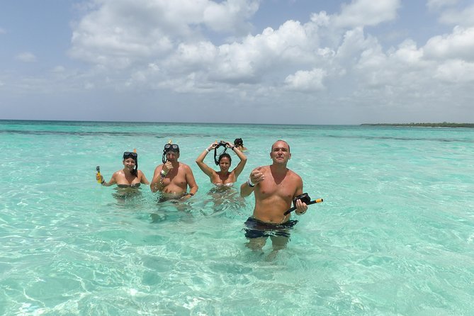 From Punta Cana: Saona Island Full Day For Small Group Catamaran - Key Points Before You Book