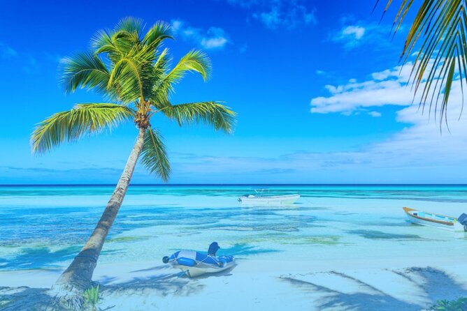 From Punta Cana: Saona Island Full Day For Small Group Catamaran - Buffet Lunch and the Open Bar