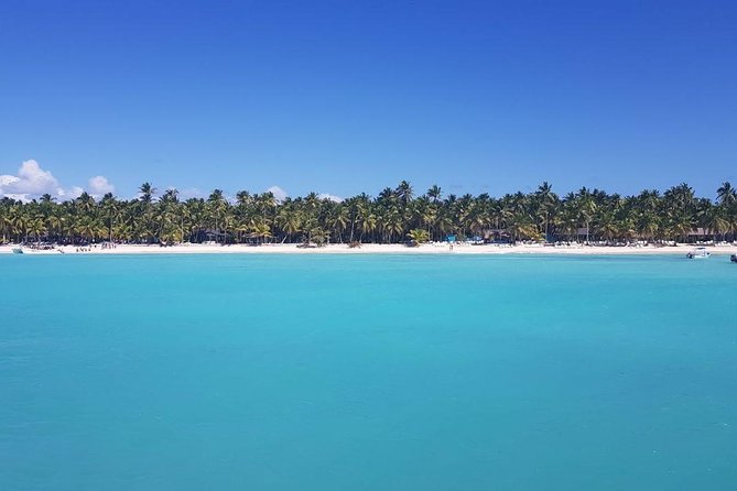 From Punta Cana: Saona Island Full Day For Small Group Catamaran - The Small-Group Promise and Real-World Logistics