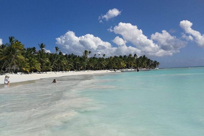 From Punta Cana: Saona Island Full Day For Small Group Catamaran - Guide Quality and Language Considerations
