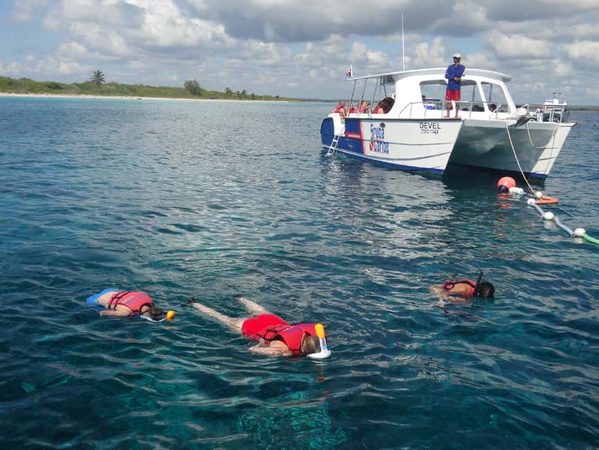 From Punta Cana: Saona Island Full-Day Tour with Lunch - What this Saona Island day is really like