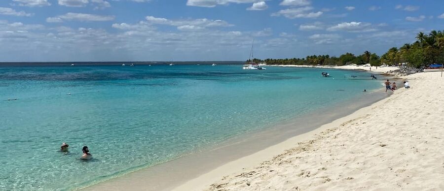From Punta Cana: Saona Island Full-Day Tour with Lunch - The 30-minute Natural Swimming Pool stop