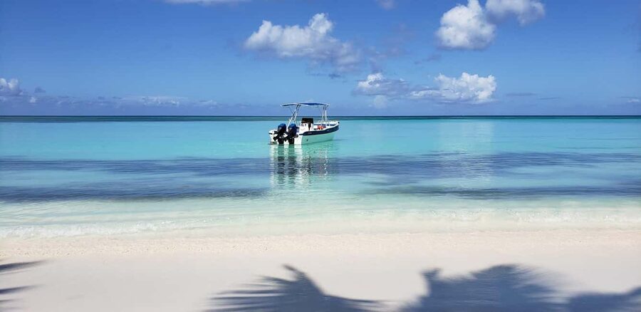 From Punta Cana: Saona Island Full-Day Tour with Lunch - A Dominican-style buffet at midday