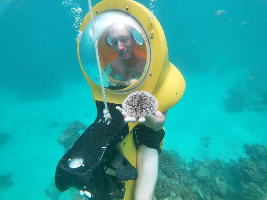 From Punta Cana: ScubaDoo, Snorkel & Glass Bottom Boat Tour - Seeing the sea from the Panoramic One