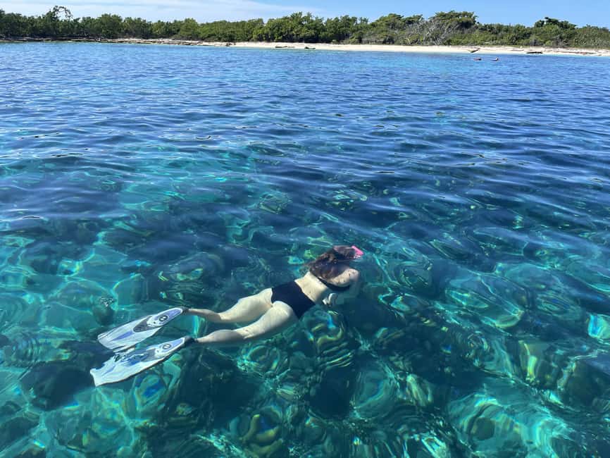 From Punta Cana: Small Group Catalina Island Snorkeling Tour - What the $128 price really covers